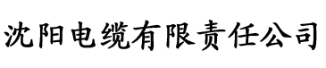 加勒比一本精品视频电缆厂logo